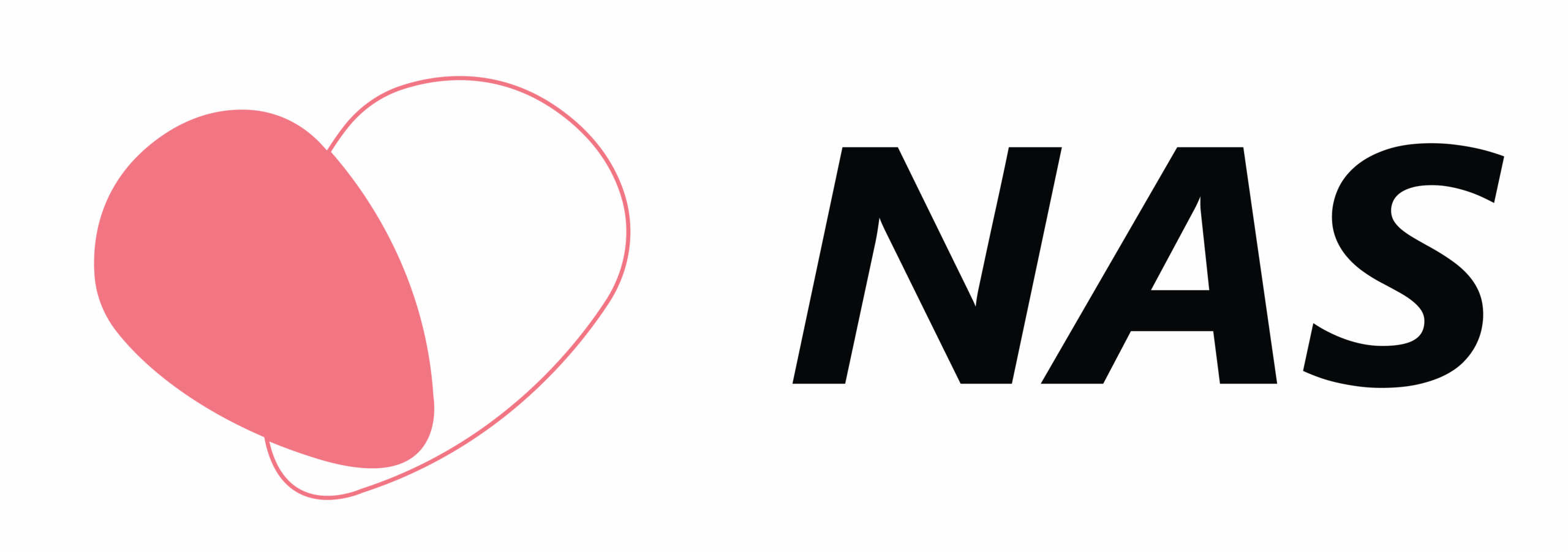 Nas Logo-01